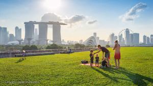 Family Ties Scheme