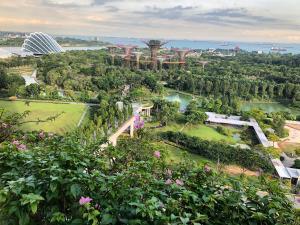 Singapore is the #1 seat of ICC Arbitration in Asia