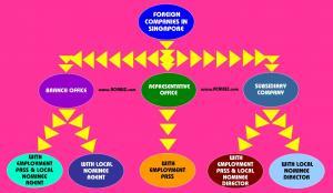 Formation of Foreign Co.