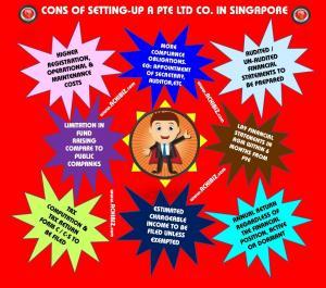 Cons or Disadvantages of a Singapore Private Co.  Limited Company