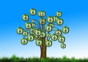 Grants For Small Medium Enterprises (SME) In Singapore