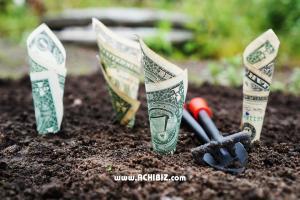 An image containing cultivation of currency notes