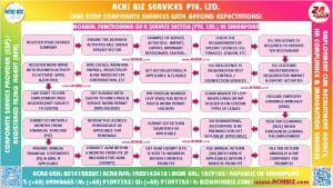 A frame containing infographic of a Service Sector Pte Ltd Company